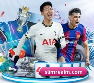 aoa网页版入口 APP 界面